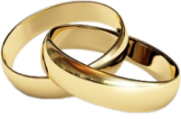 Fedi di matrimonio in oro giallo